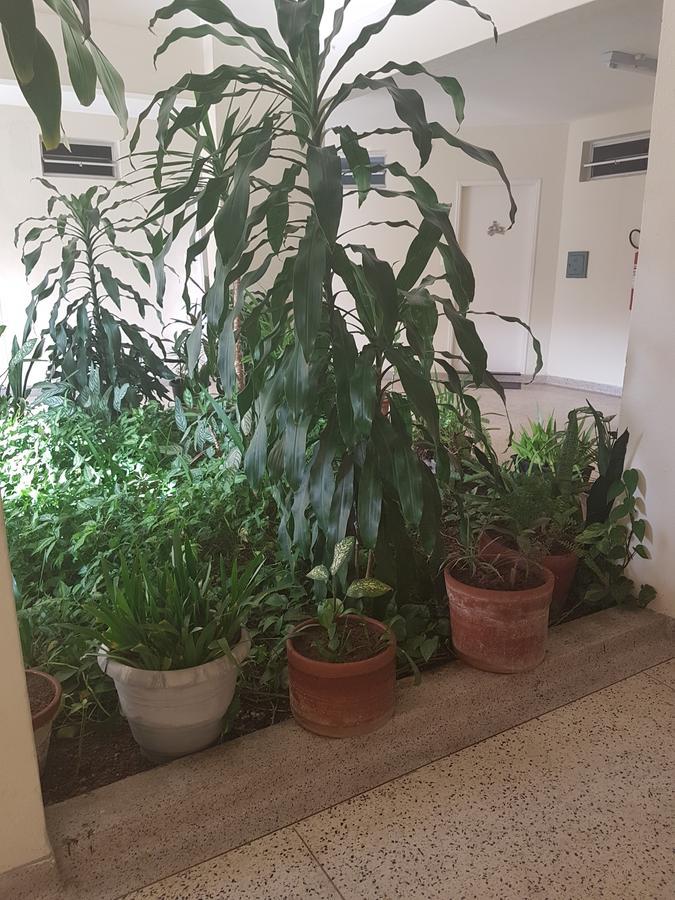 Kitnet Pitangueiras Apartment Guaruja Bagian luar foto
